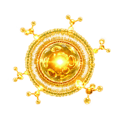 Exosome Orb